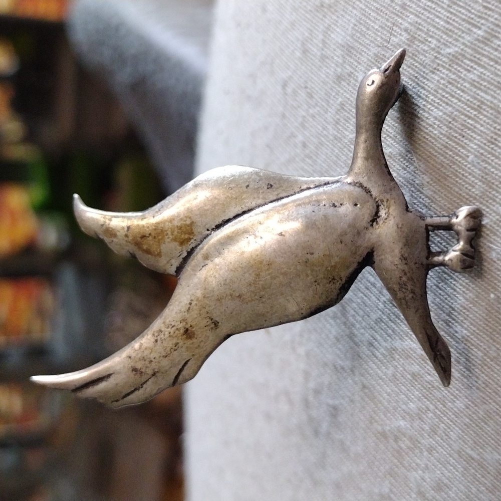 Silver Bird